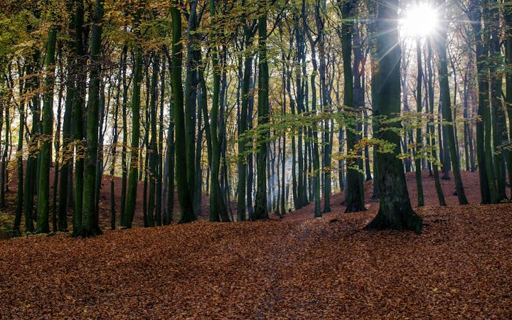 02388094eb86acb96776c5880d82a2f7224278234e8da707bd353d3fa0de027b.jpg (1920x1200)