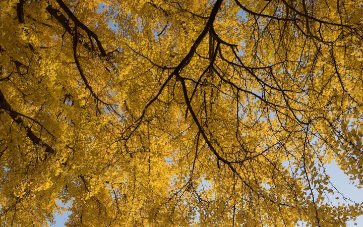 03a087e49554c1f5cf84adfad408b304cad855f5be5821f215a82605cabe4df2.jpg (1920x1200)