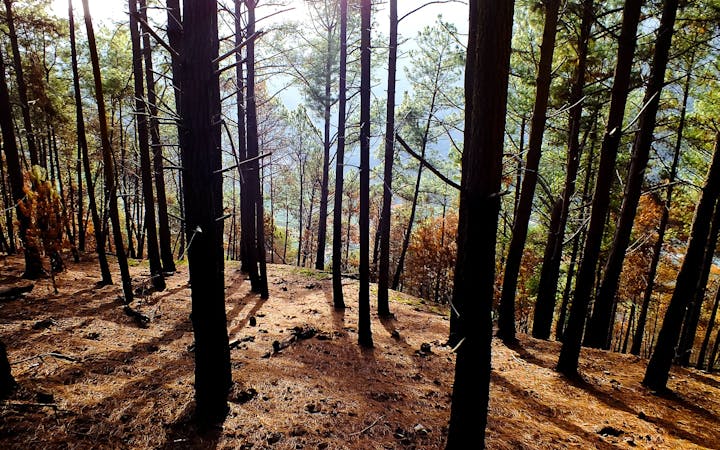 07ffd7cb8bdaec4c234378531c6a290366ad0220b6ec2dcb0699937555386829.jpg (1920x1200)