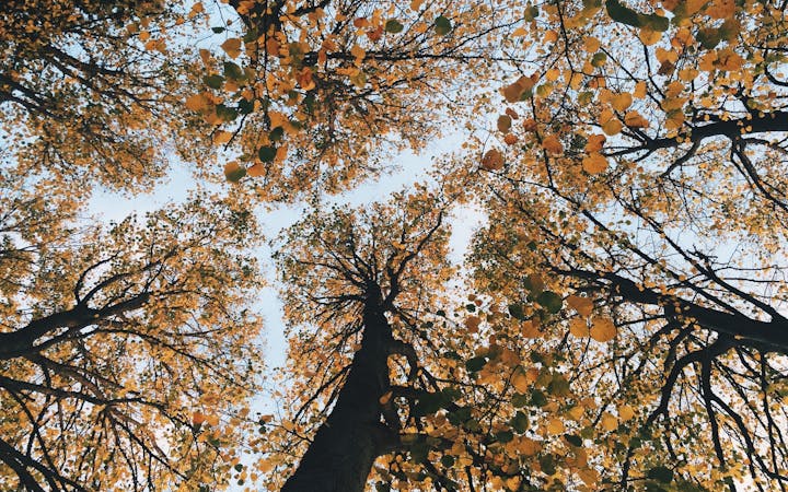 0992da25d7d8545ba1f6cf29edda88ce6266f235863f5544912ff1848ebea2d1.jpg (1920x1200)