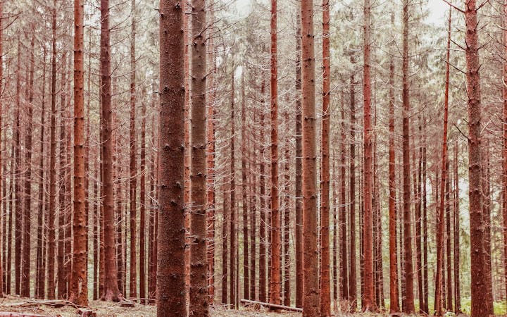 0d6926494426cfbbc8e06198a9f7fb4056b28ba72ae1f821f6d0875814101bf5.jpg (1920x1200)