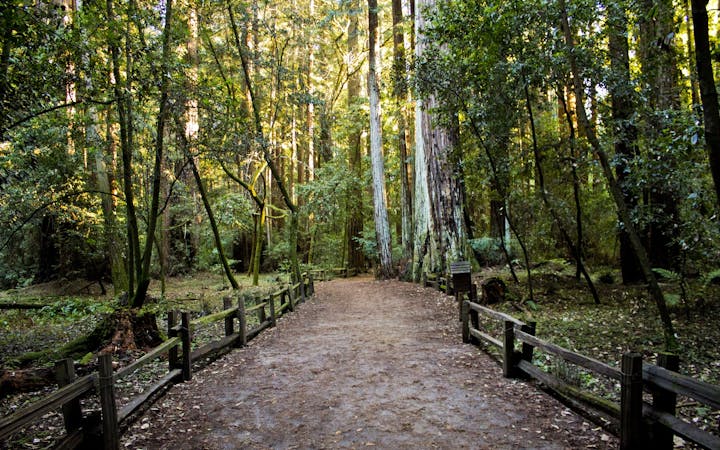 11a07f94c3303ebbea19fcce2c0647bc399d139ca909ea646150568942cdf9d8.jpg (1920x1200)