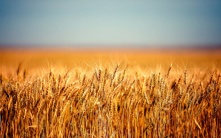 148506106653c433621e7k.jpg (1920x1200)