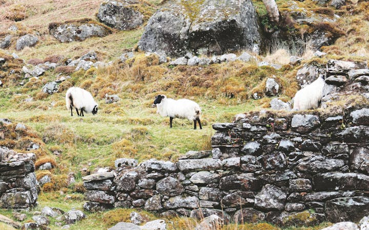 1944cb0d5995f553534dd65edb905f237b6b82a25ebd3878ad308b89e8d5f1b6.jpg (1920x1200)