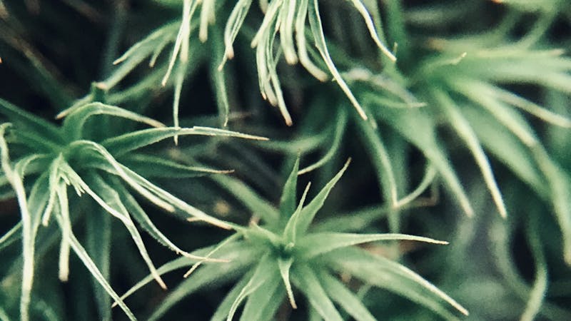 1ba9657c5eabd98a.jpg (3840x2160)