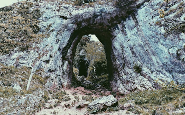 1c2a2bdd28e7fef26aa9744bbc4733b30b52fd770bb0c6bd62a732855a293f1b.jpg (1920x1200)