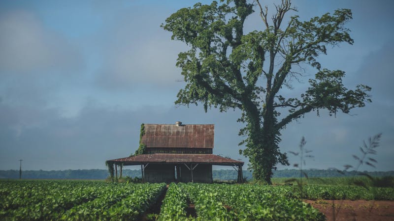 1c8y9r93840x2160abandonedhut.jpg (3840x2160)