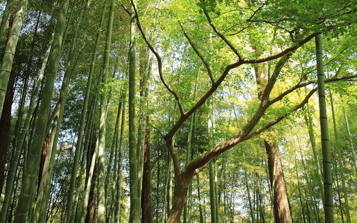 1df31672401a28d40c58471e99634fea8ccb3a85d90c591fed1147d1aa09676d.jpg (1920x1200)