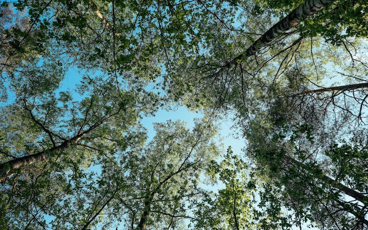 1e45aeb3a916a43db8dd0d3a95c66481a1e6d184f335730640ac46d813b4cdb6.jpg (1920x1200)