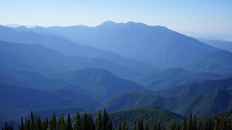 1intsckolympicnationalpark6000x4000oc.jpg (6000x3376)