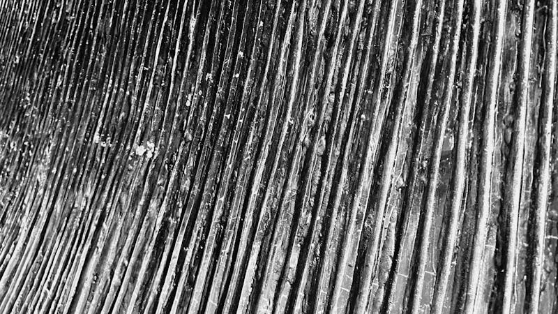 1itafb9baleenwhalesculpture.jpg (4032x2268)