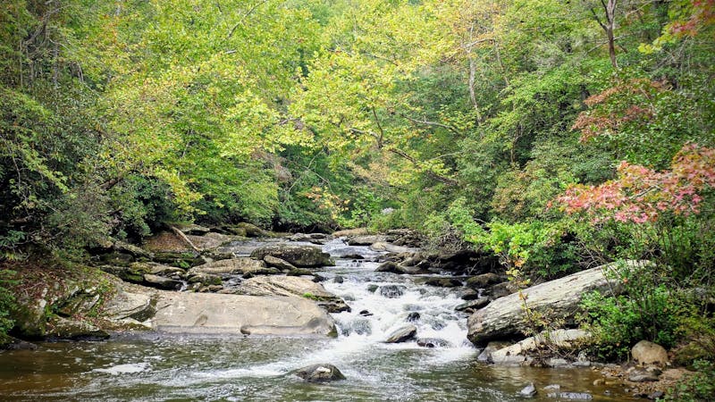 1nzyxffkyimfrsearthdrake.jpg (4000x2250)