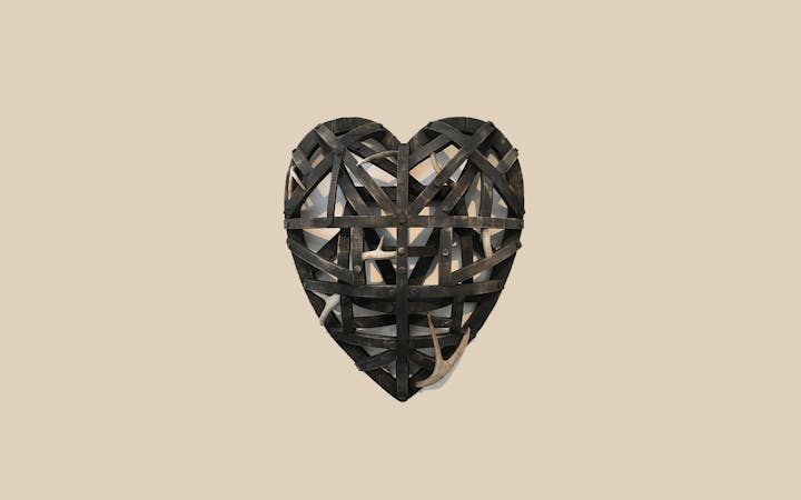 20170304sphingidae.jpg (1920x1200)