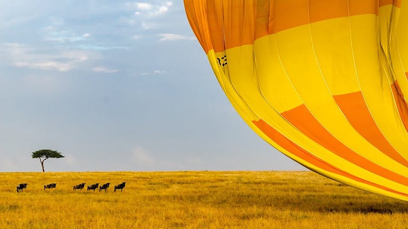 2253234012410587570.jpg (3840x2159)