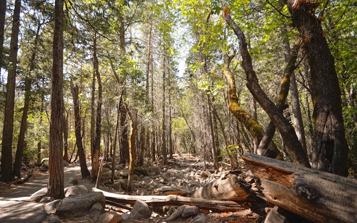 23e785424c3c254b4bef7bbbebdb0be6ccacae62f325b3810591809a3580b141.jpg (1920x1200)