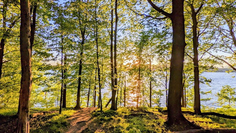 24cc766afc3c417980d0f379b356bd151.jpg (4000x2250)