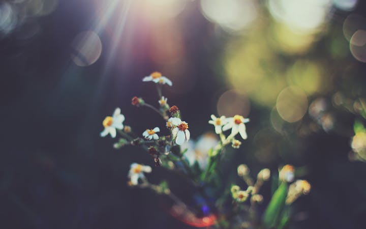 2560x1440bubbles.jpg (1920x1200)