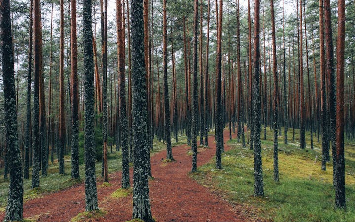 2603fe7324dcf4f825a26047e147d3e5830d28ee47f3998ab7ebe83bed0ff463.jpg (1920x1200)