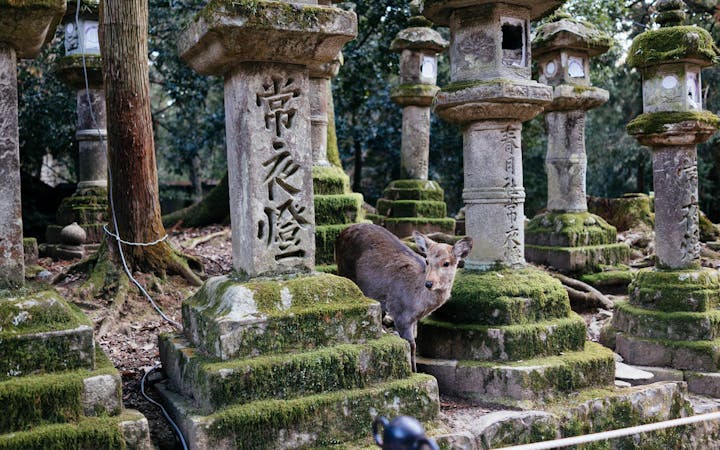 2619805810211164178771862516382640496890519o.jpg (2560x1600)