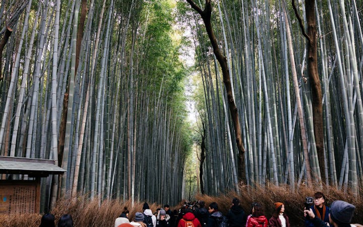 26198277102111641974923306086327263971002307o.jpg (2560x1600)