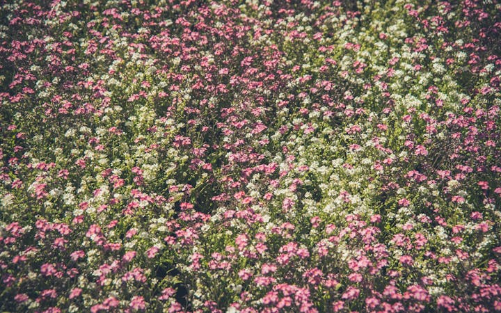 265ec61fe5906e964856bbe9212b24782b705e7950ec17e8f07c8f3a4fbd7f37.jpg (1920x1200)