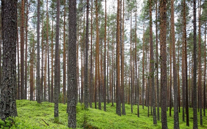 28138725f9b1a9fcb69ea2e87f7328e4f70d1b84df8f69b2d3963fc957b76a7d.jpg (1920x1200)