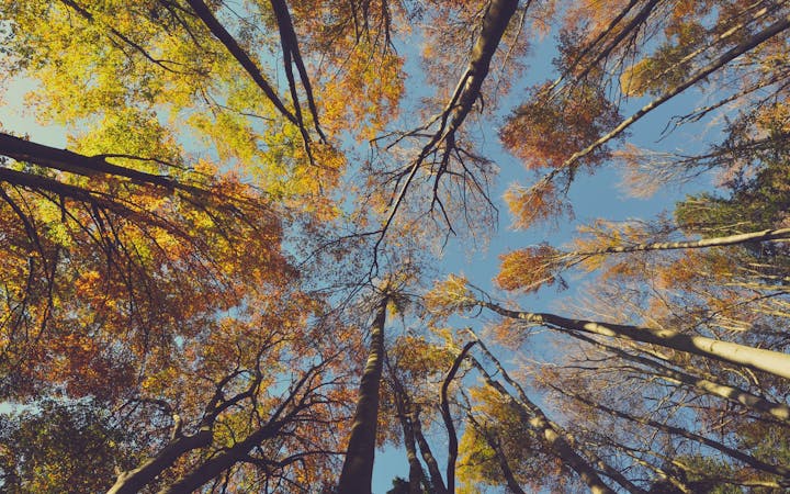 287b076e5b14aa951618cec89913edfe674323c0bb9dbf2ffccabd005900a7a3.jpg (1920x1200)