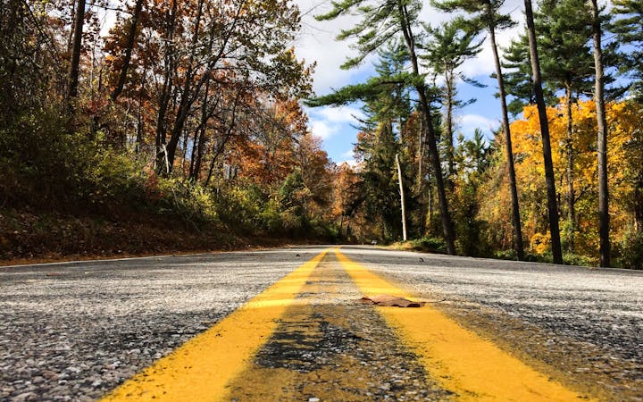 300b81c61b4498c882108f14756f6f6dd9a0a16cb12ee3975ccbd8c0b51d854a.jpg (1920x1200)