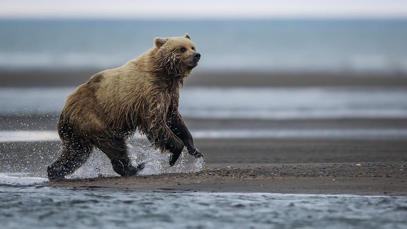 3151510276163477169.jpg (3840x2160)