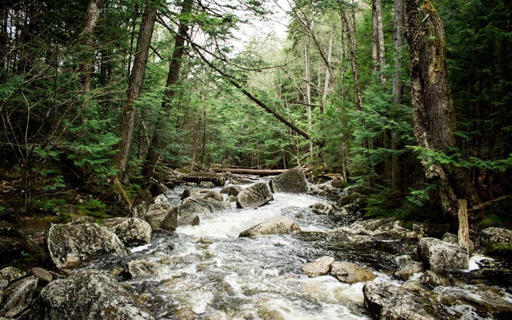 347344e51e8172d2038aa6136b2139f904b043fa394c2d89b84710f60a6b9d28.jpg (1920x1200)