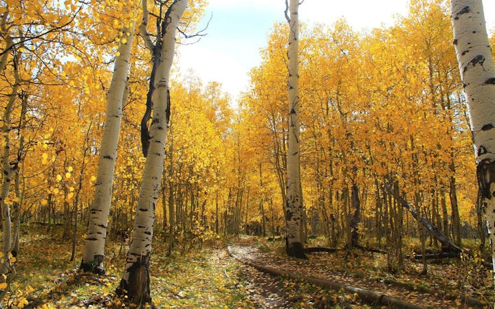 35578fd5b943c5620b72a0453f2f349c97b517a23da57989dd7477721e504a0e.jpg (1920x1200)