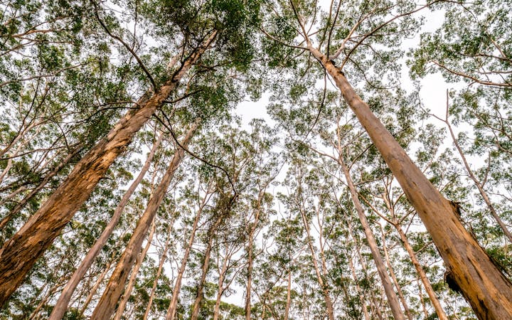 382d984504b9765fc896e53efca9e0001a25545783cb9bae8f18e5dc09dc33d7.jpg (1920x1200)