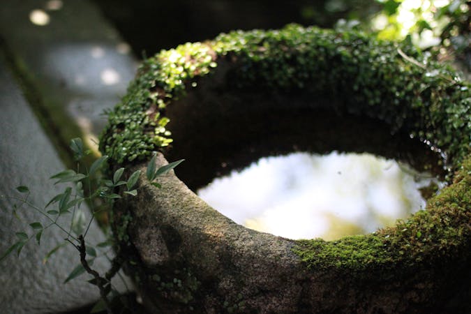 3882454079f3a8ccc581o.jpg (2352x1568)