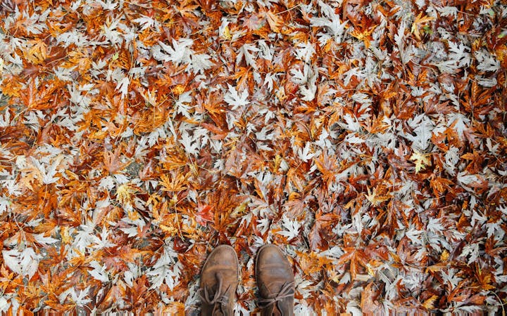 3acabc785dd1a99150d4383ae786387a4b8e2b134489449810feea0c586902c9.jpg (1920x1200)