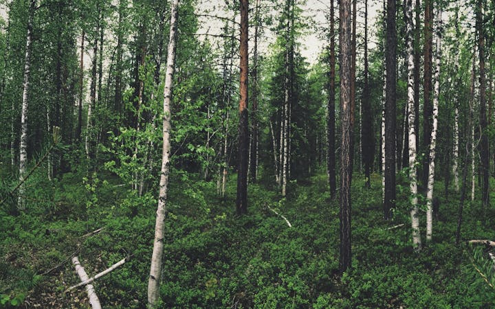 3c5ff51d1e4831495bb849c0dd3a679d7b01113e80fc8105213f8ff0b9a37054.jpg (1920x1200)