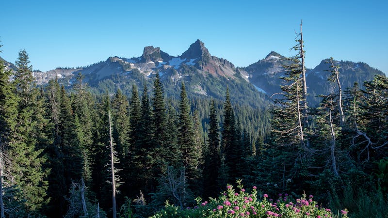 42393447680bd8900e509o.jpg (2560x1440)