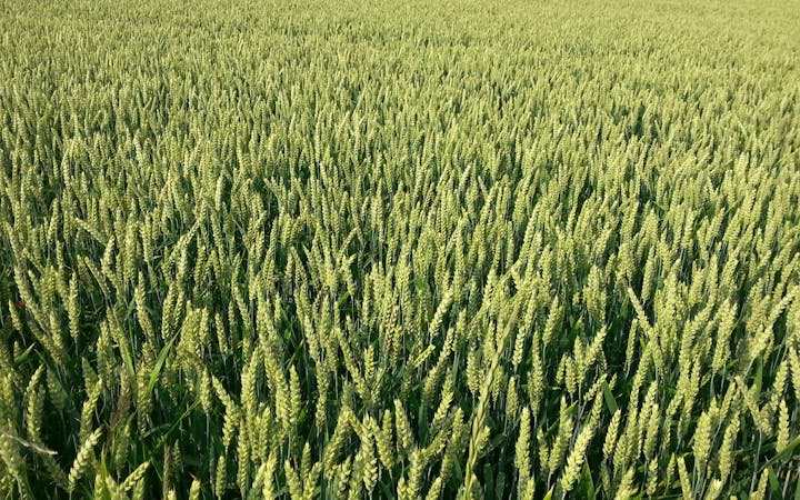 427f0ec00852eef1af093c252a50d6cda6aad74f89d4ef3b919d3215e3dd6149.jpg (1920x1200)