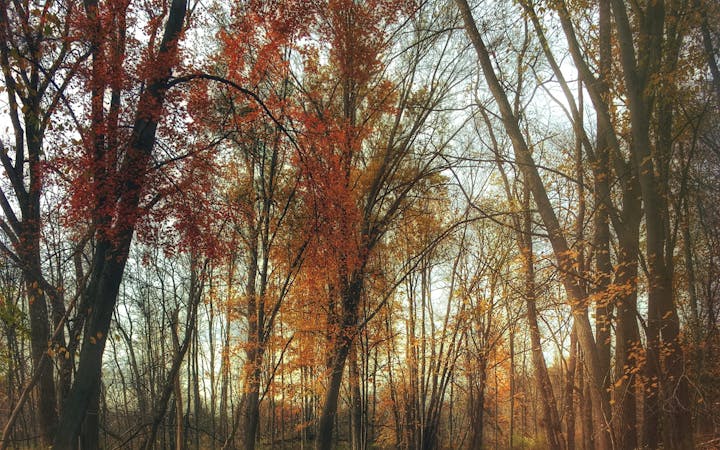 4890611a5dd087e45cb3d2f8e4fe74954b1223c33912a595552c8dbab42c21a8.jpg (1920x1200)