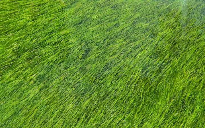 4bde6e032ad130070da624bc4b3980de386dad6c2d255cc773f105239fd05670.jpg (1920x1200)