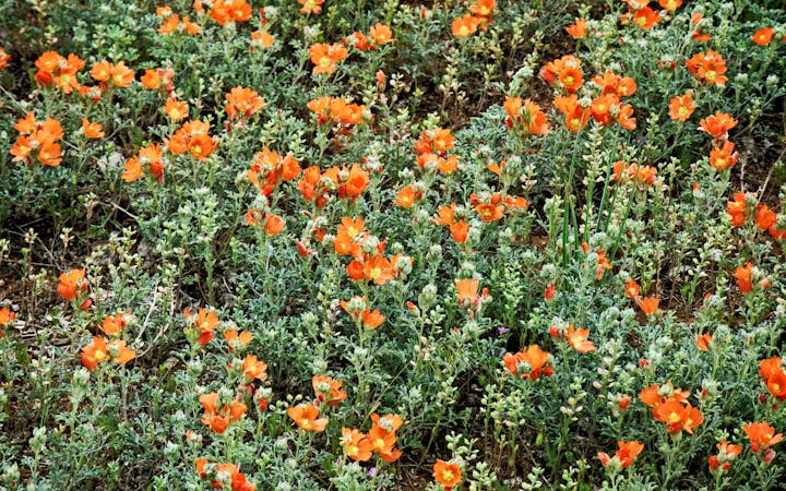 4e33d250ca82630e346411b1dc87164e60a378347ba56df7579690f2aa42d91b.jpg (1920x1200)