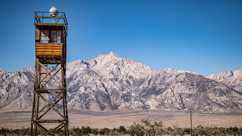 5153159056136304993f8o.jpg (3840x2160)