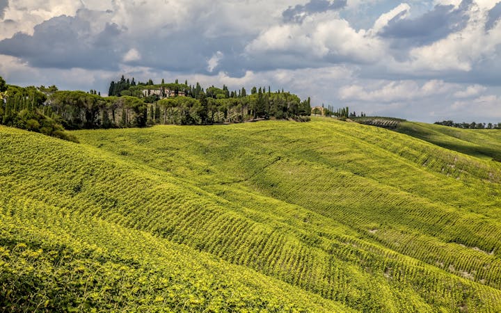 60920c63ee712645956ce35eb767624e4ec7ada78eb890c7fe573e41e1c631cc.jpg (1920x1200)