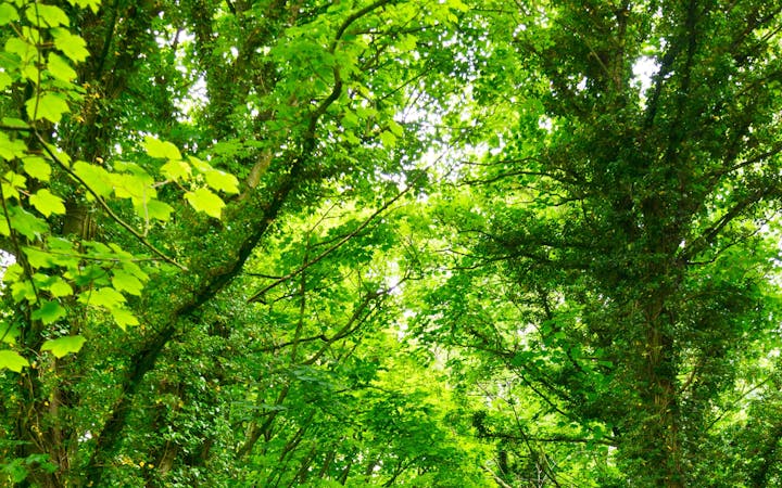 6860f570956508b1725b1949effbf487dd5ff0ff44a9933dd32a4f49e5621025.jpg (1920x1200)