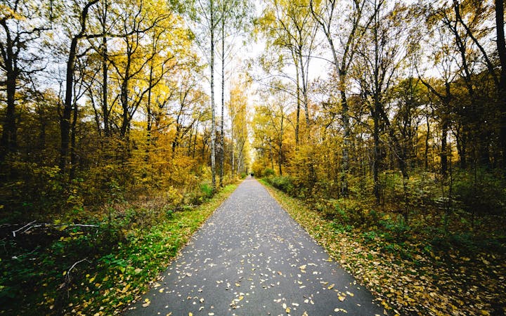 754cae39c42488b31deb2dd9a12dce947a94a383bd7cc6a17a908e1eec9708fb.jpg (1920x1200)