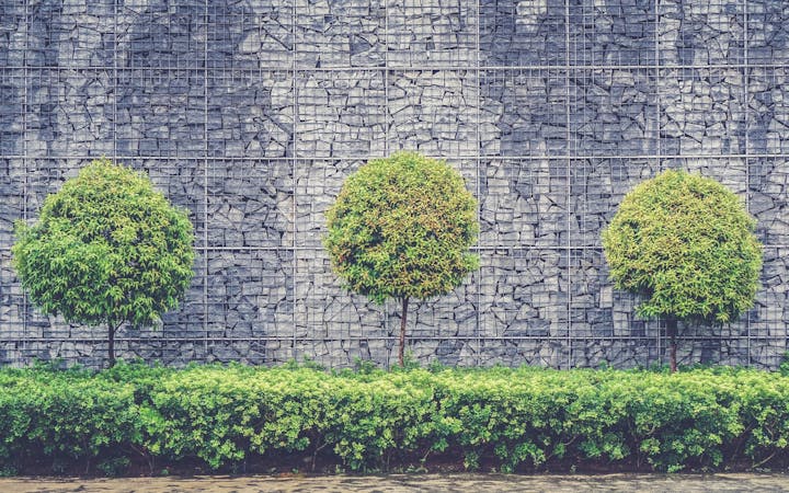 7cb27503a4d5d4d767f20ae538bf5602ea65df12f2500d2c82de0d663b1eea08.jpg (1920x1200)