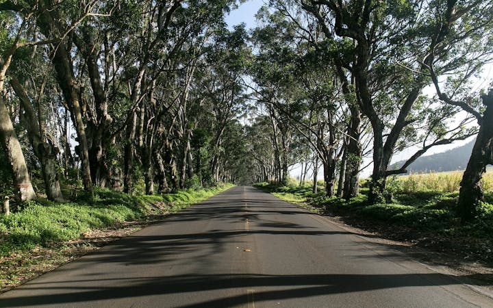 7e104f09c15b203fd88f701e734b3743da63977ede537bebe21c76812e95ed85.jpg (1920x1200)