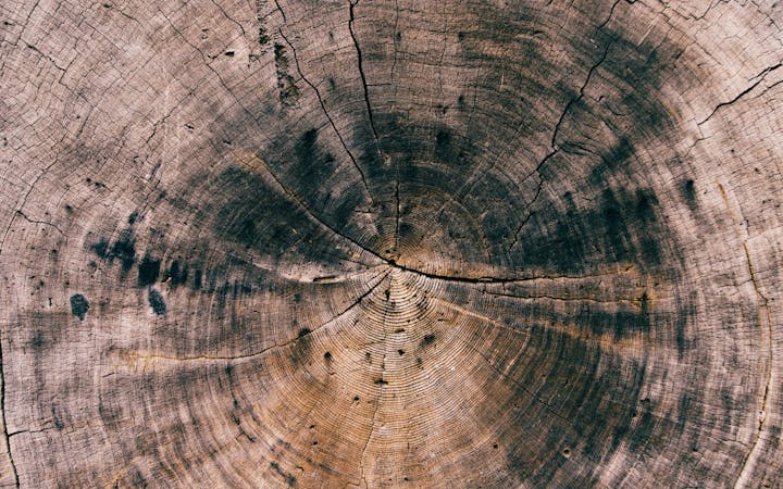 81775a6786dae0129db3122757a83a9c83639930361e316303fff6a96adaaf0a.jpg (1920x1200)