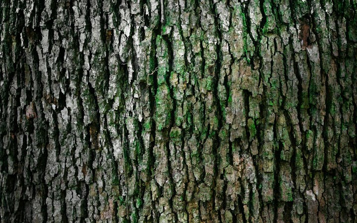 81a01e7c6785ffa4b9db57f045feab3bad2685763dcf518999f3b2b43f37bf4b.jpg (1920x1200)