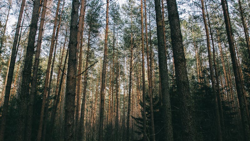 8219bac4a59efa4d6be5941e73a1e1c5b09645d3f3c7213981fa0fb9a7f0dcef.jpg (1920x1080)