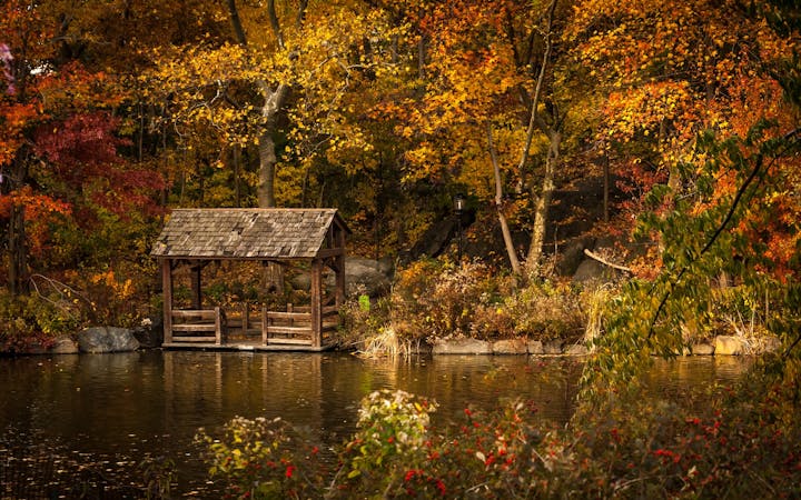 83076b4b1f8ae0e56837d896ffc02bdaf273a52af0f90524b91545f9d55b8b62.jpg (1920x1200)